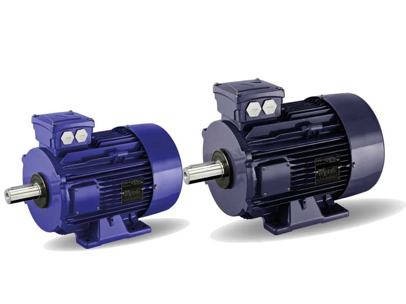 Heavy Duty Electric Motor