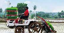 One machine can do the work of 30-40 people